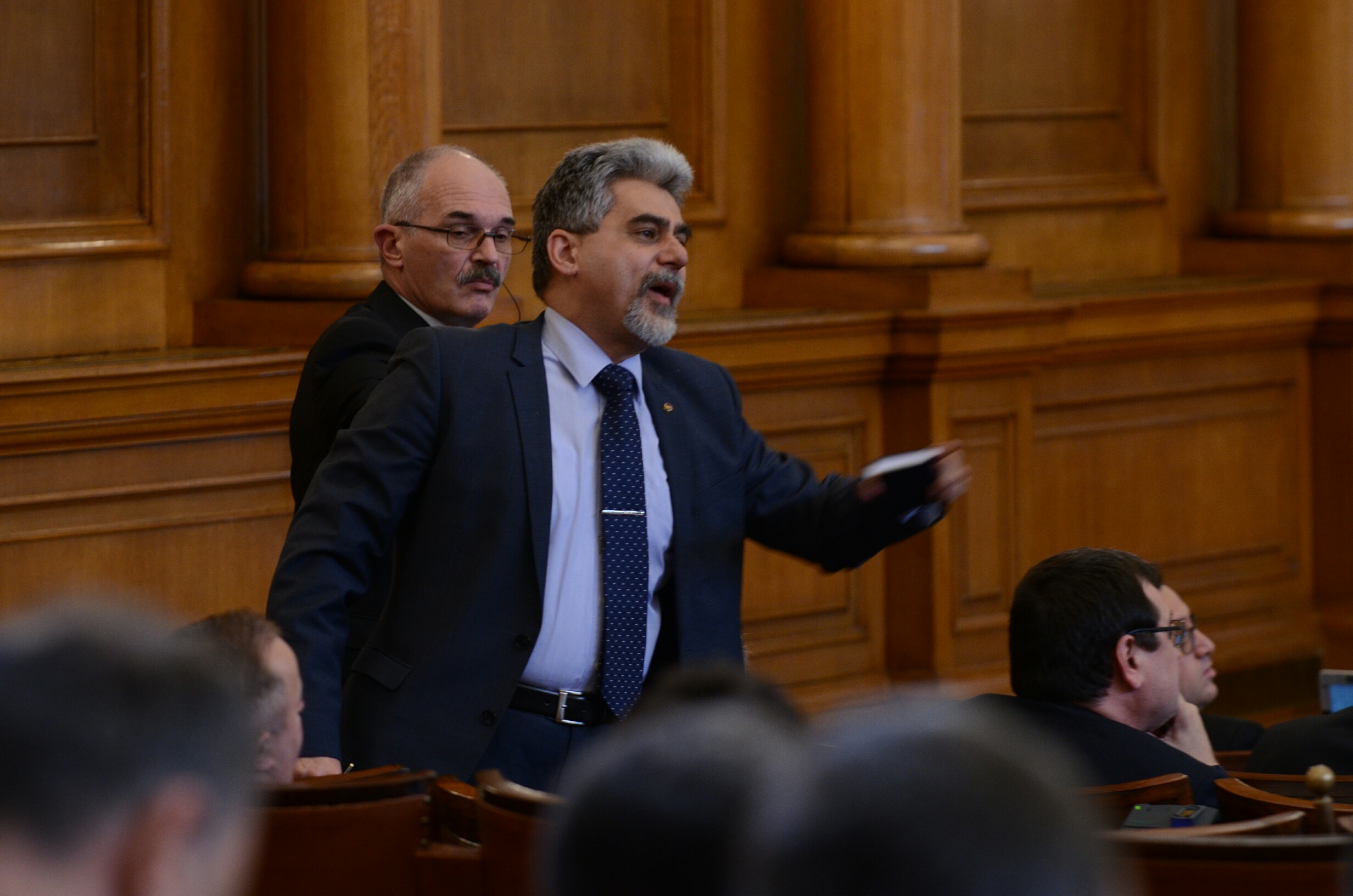 Парламент Милен Михов