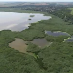 Бедствено положение в резерват "Сребърна", пренасочват вода от Дунав