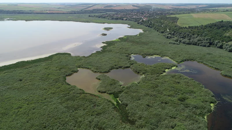 Бедствено положение в резерват "Сребърна", пренасочват вода от Дунав