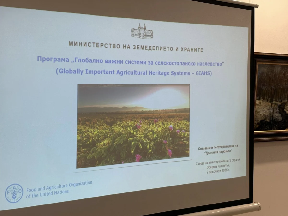 627084555 1498446015507763 6375419123523704556 n