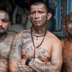 ms13