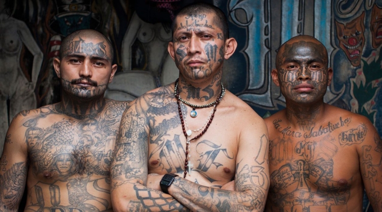 ms13