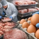 БАБХ спря над 500 тона негодни храни за 2 месеца