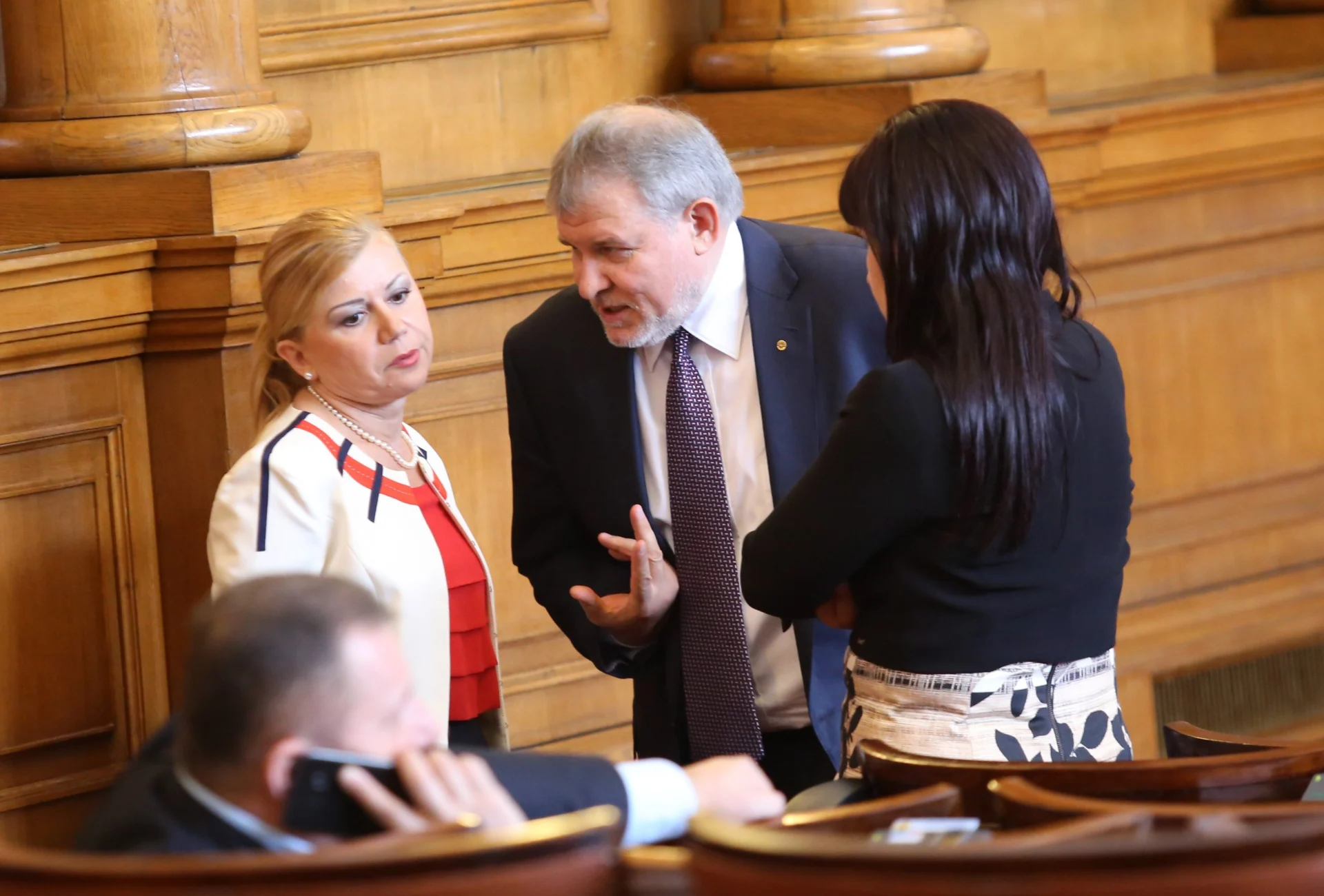 Парламент Светлана Ангелова