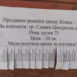 измама covid 19