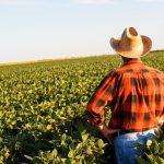 американски фермер фермери сащ