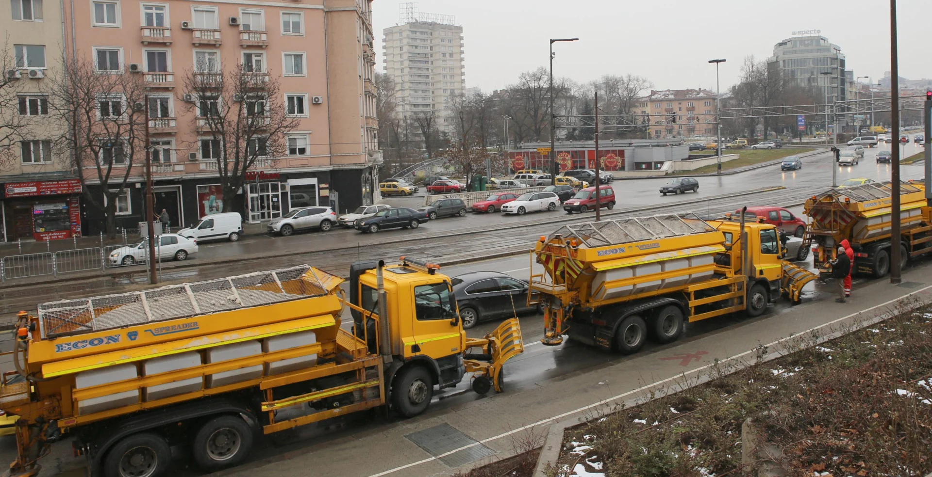 снегорин