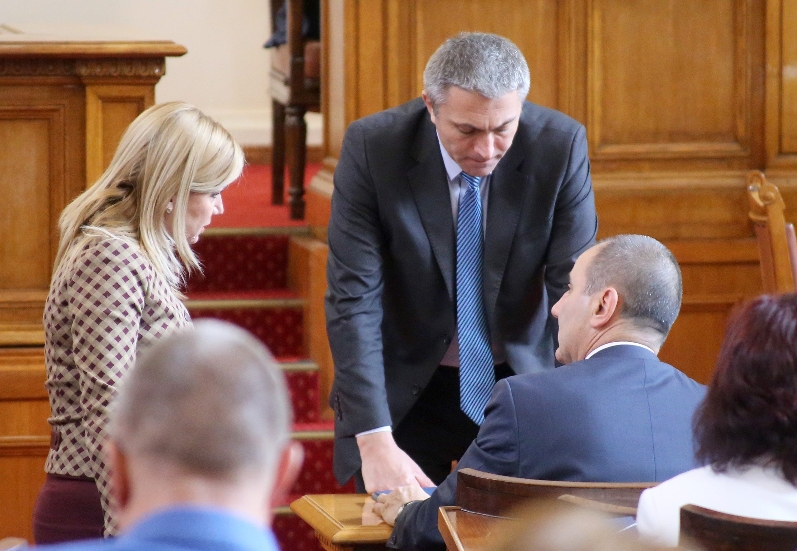 Парламент Светлана Ангелова