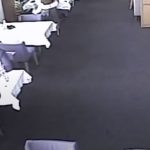 петков узунов