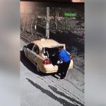 кражба куче драгалевци