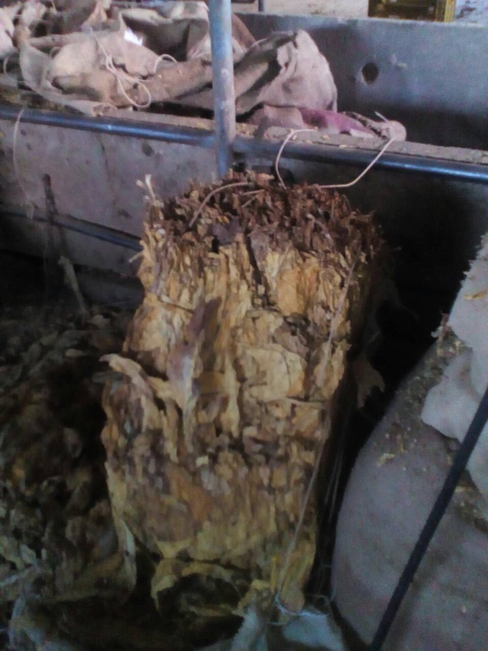 контрабанда тютюн
