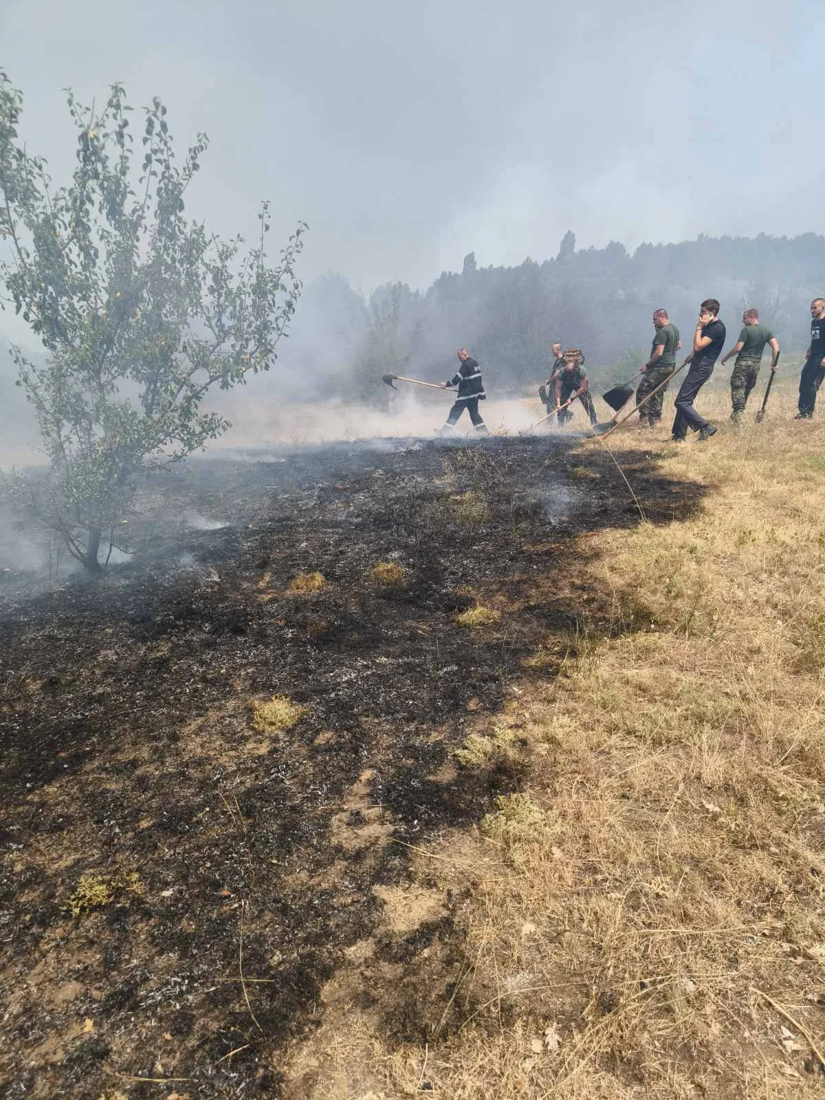 Военнослужещи и военен хеликоптер "Кугар" и днес ще участват в гасенето на пожарите
