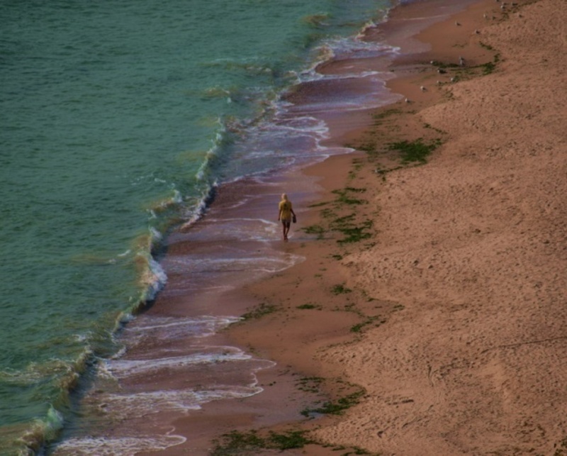 Migration Image