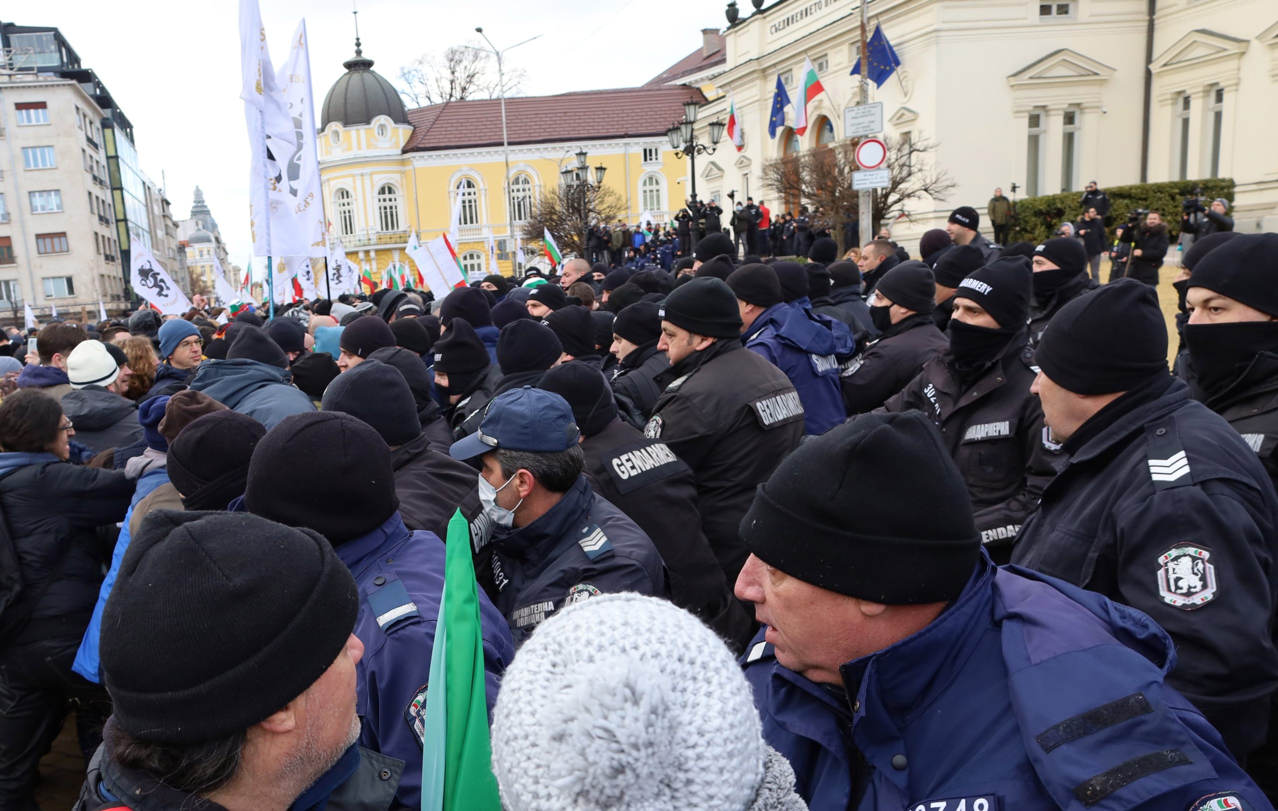 Парламент протест срещу зеления сертификат