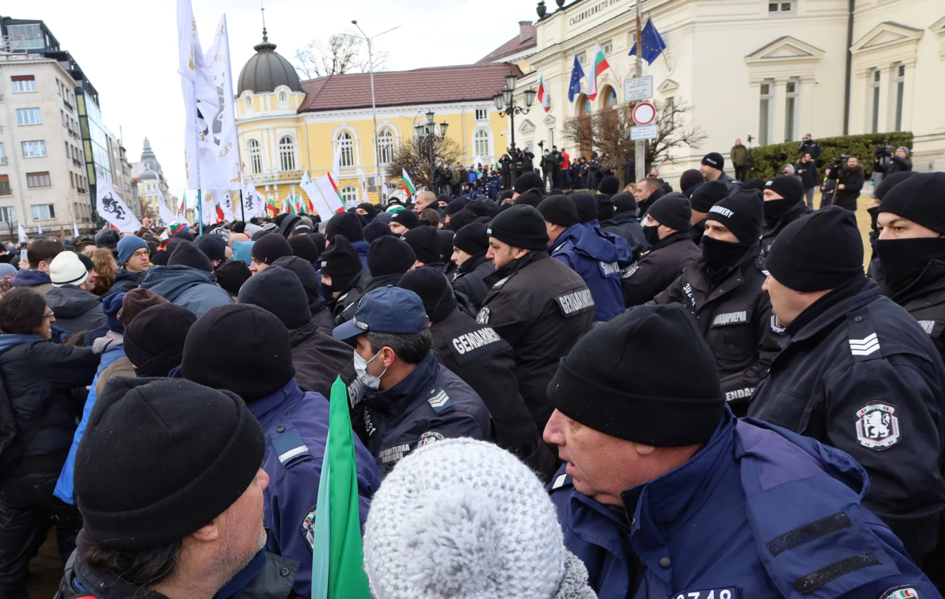 Парламент протест срещу зеления сертификат