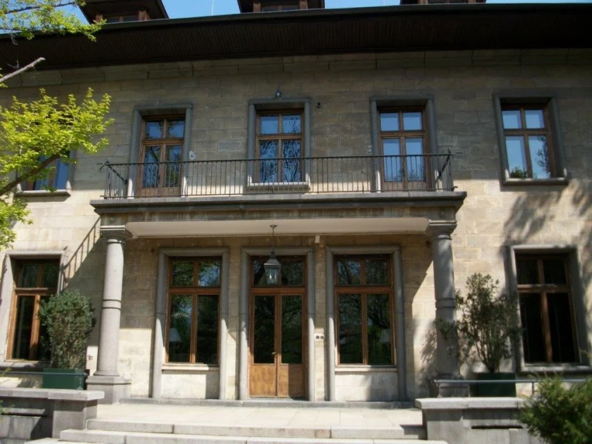 Чапрашиковата къща