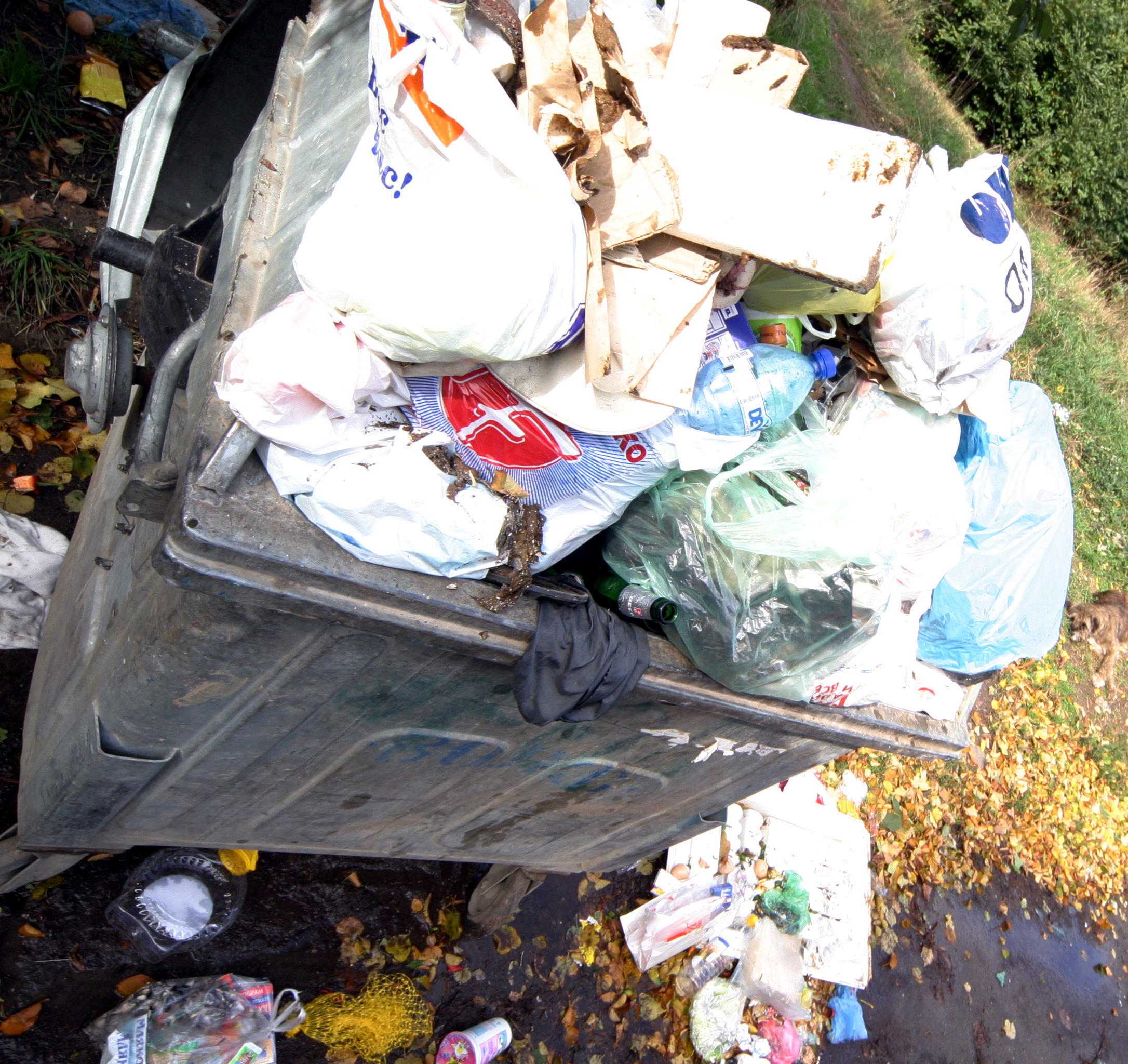 БоклуциКофаСмет