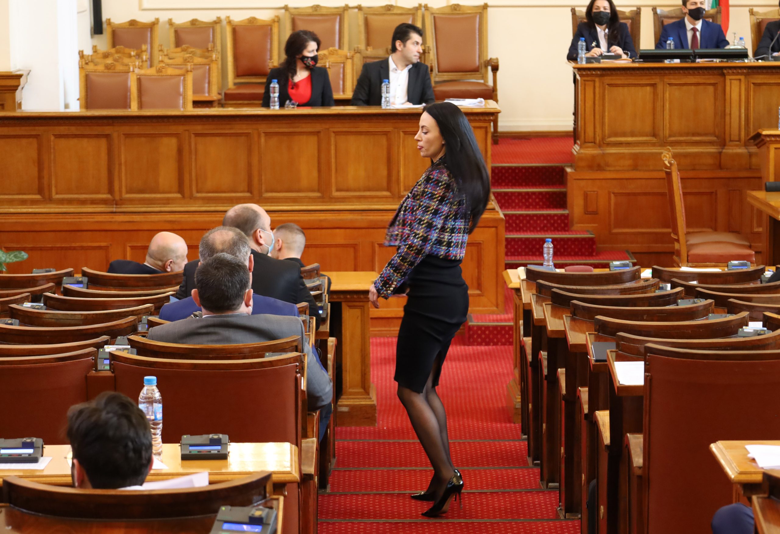 Парламент Славена Точева