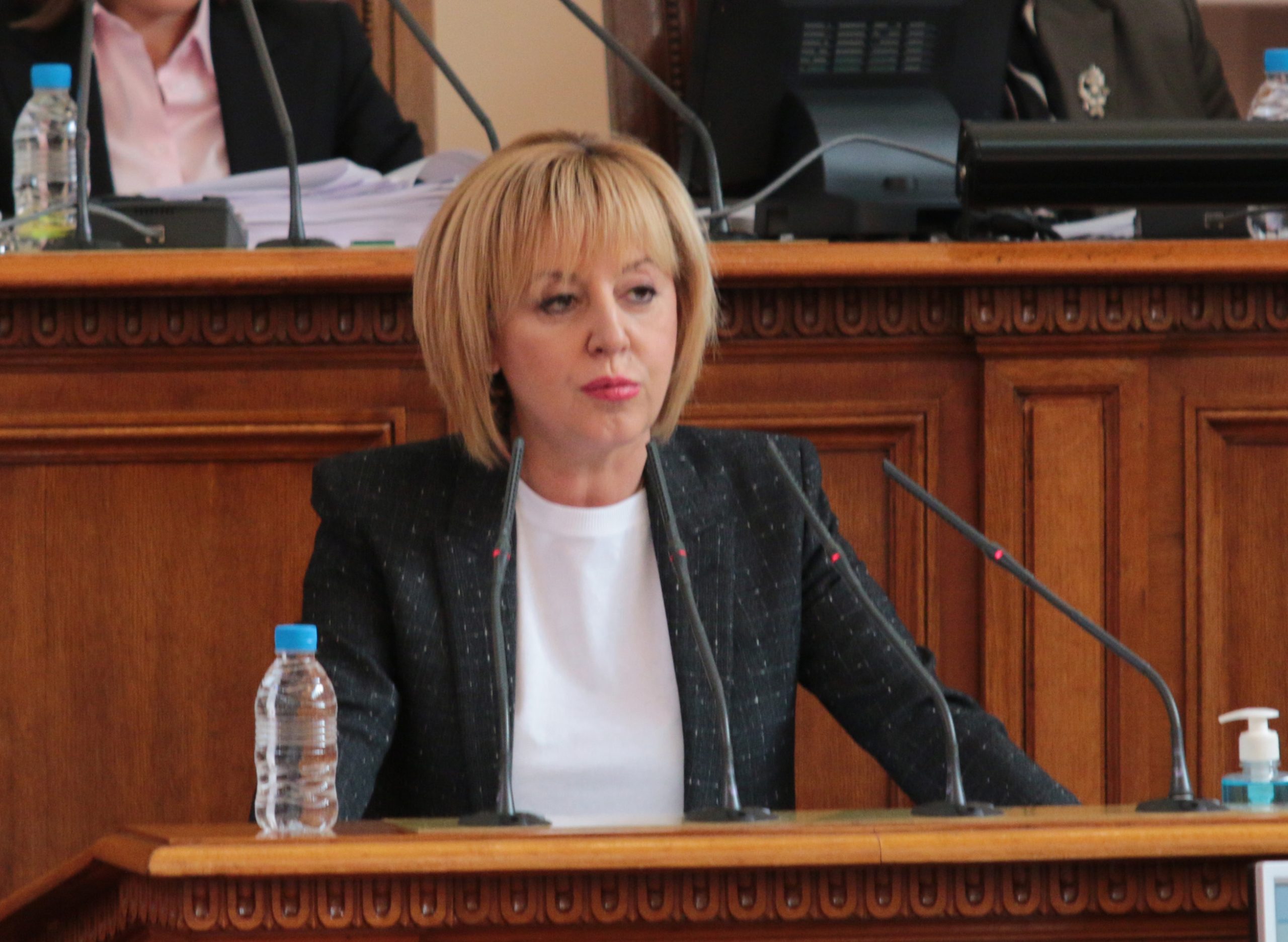 Парламент Мая Манолова