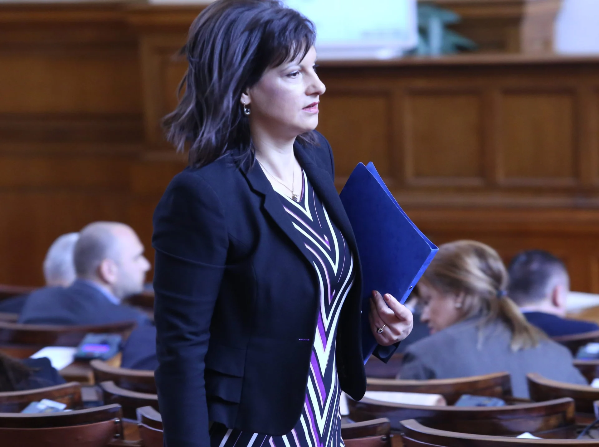 Парламент Даниела Дариткова