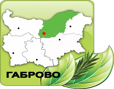 "Северноцентрално държавно предприятие"