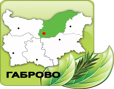 "Северноцентрално държавно предприятие"