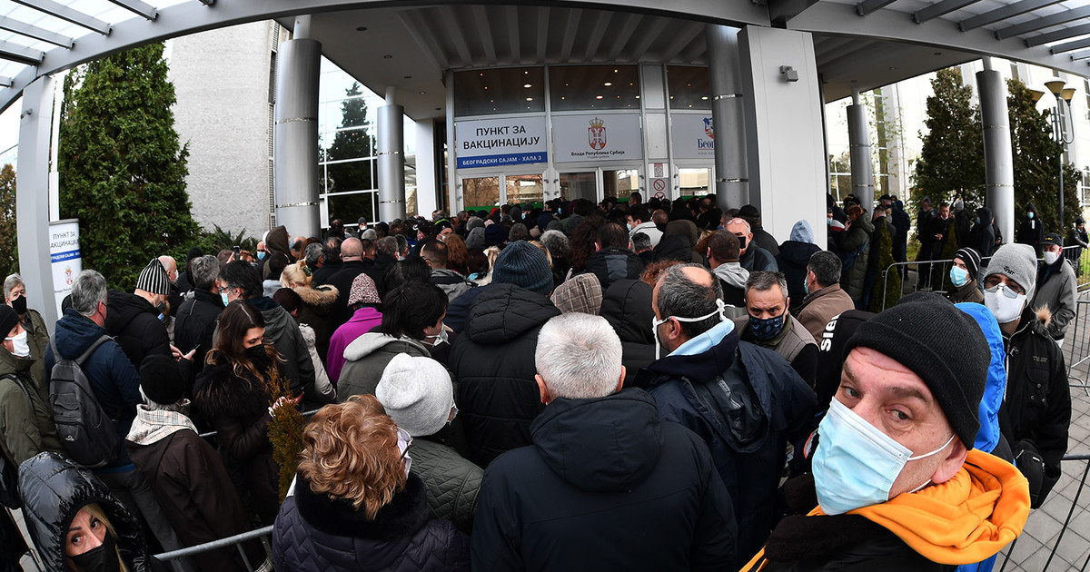 белград сърбия ваксиниране ваксинация