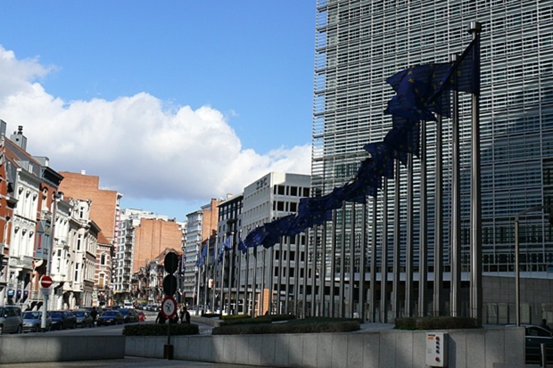 Migration Image
