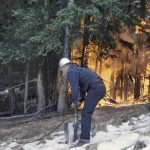 Вероятността и тази година да гасим горските пожари по първобитен начин става все по-голяма.