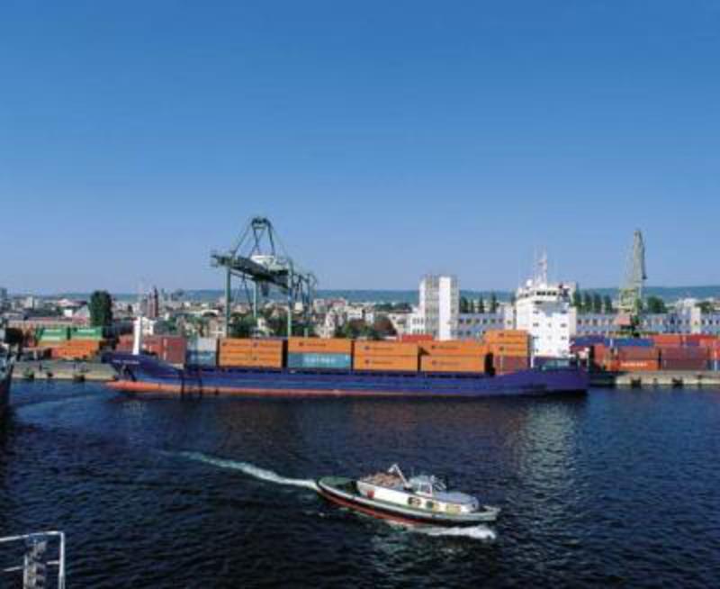 Migration Image