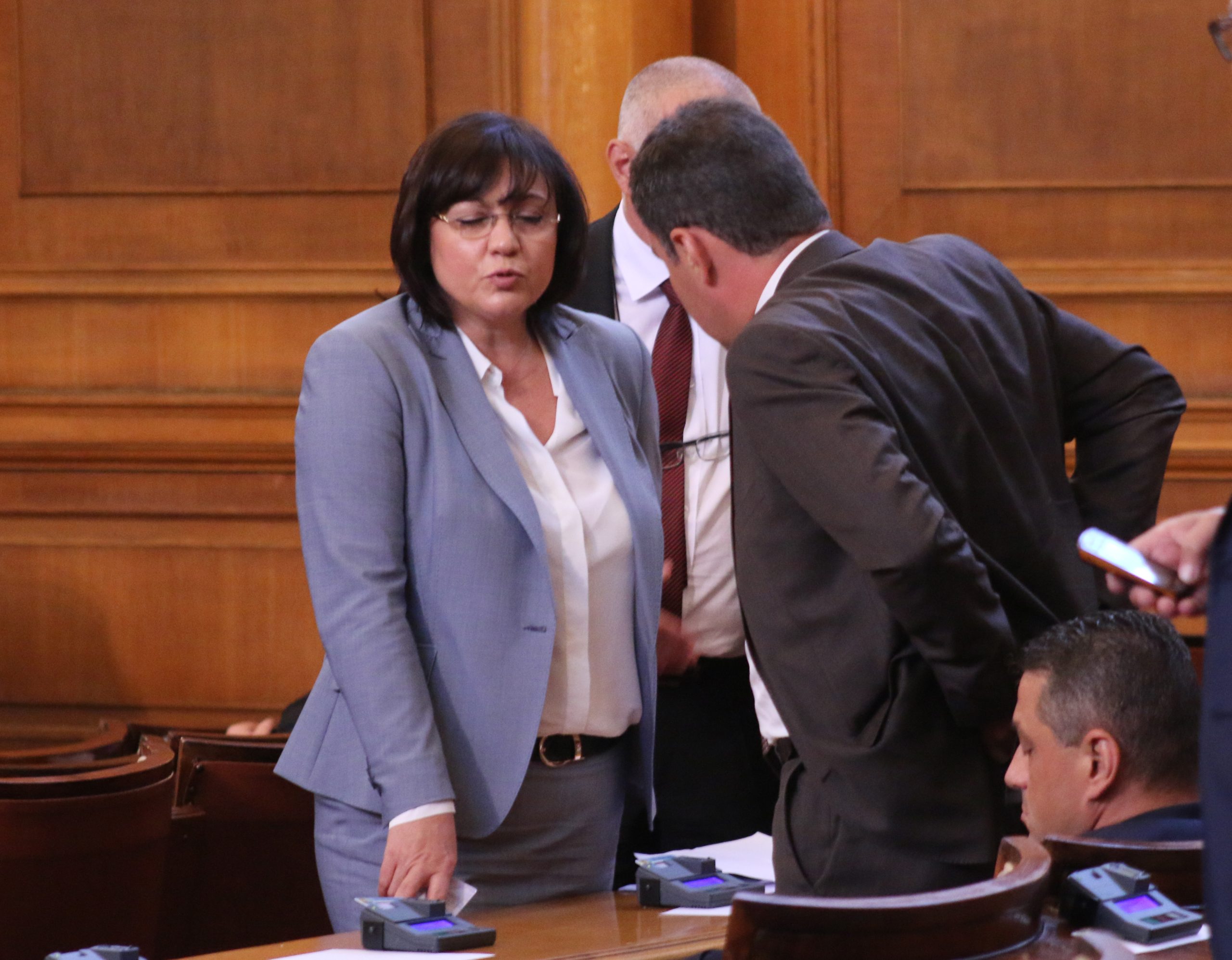 Парламент Корнелия Нинова