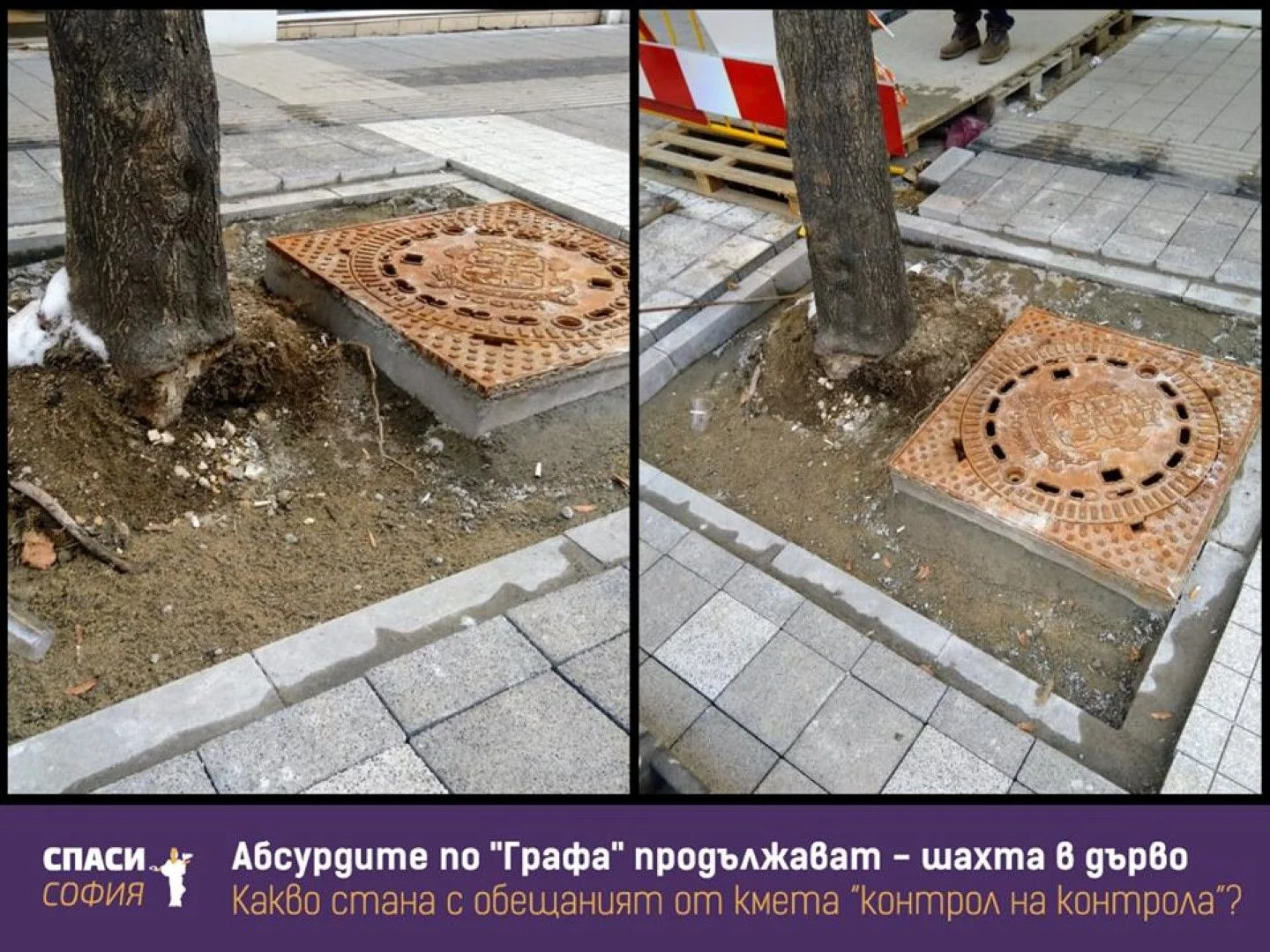 шахта в дърво