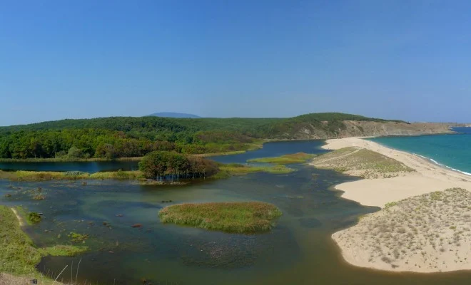 велека