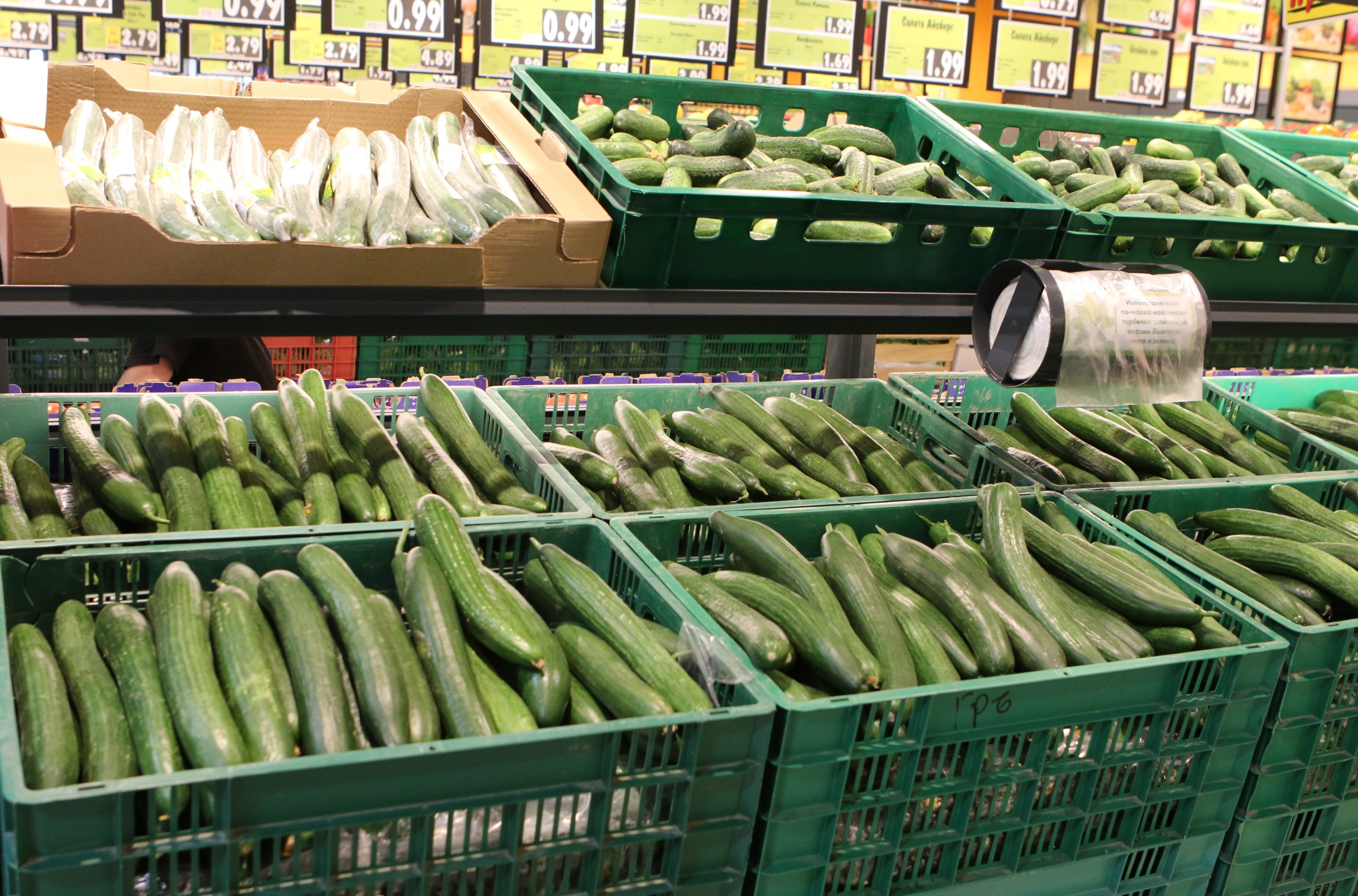 Кауфланд зеленчуци краставици