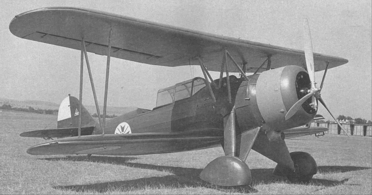 самолет ДАР-3 Гарван III