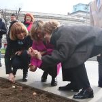 Засаждане на лале „Сердика“ по повод на 110-ата годишнина от установяването на дипломатически отношения между България и Нидерландия. министърът на външните работи Екатерина Захариева