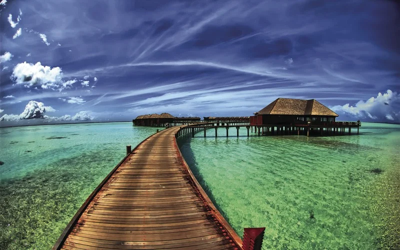 Migration Image