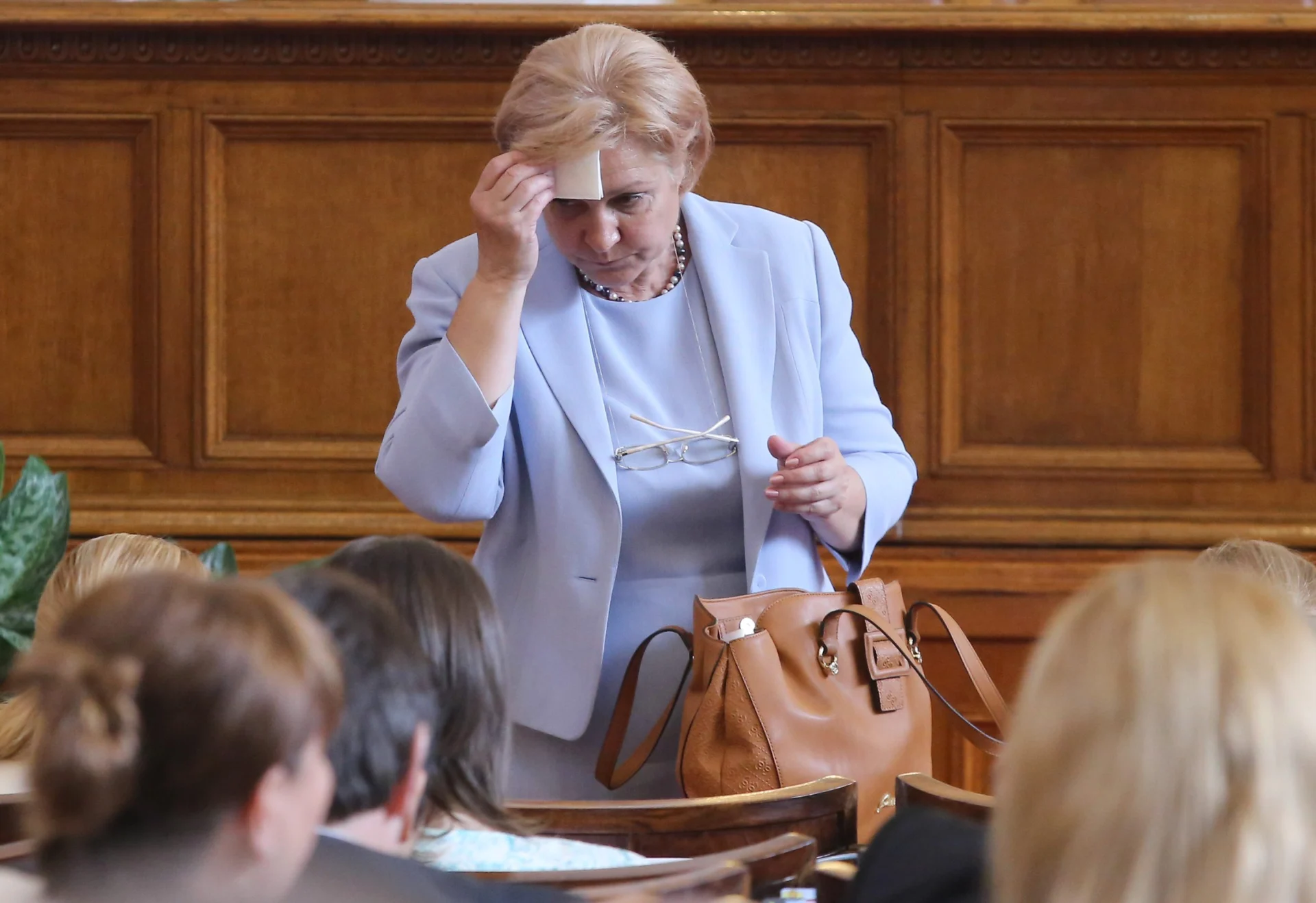 Парламент Менда Стоянова