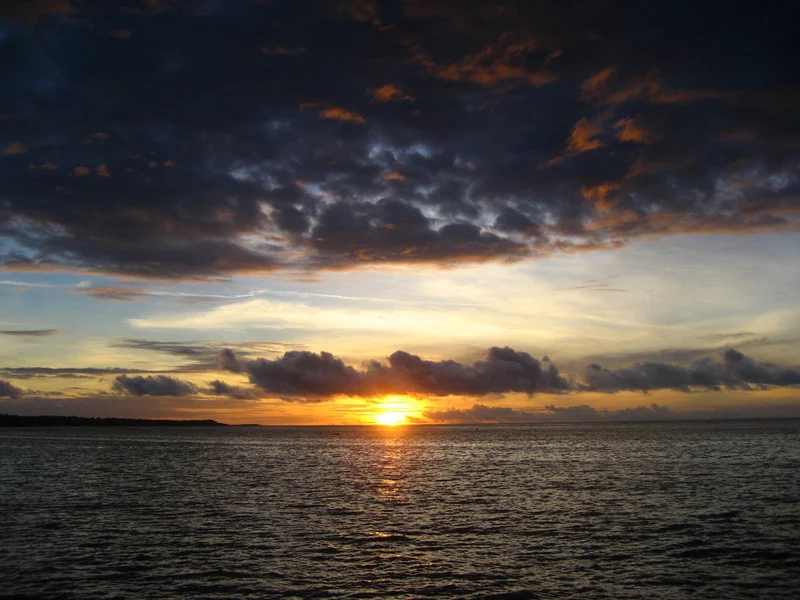 Migration Image