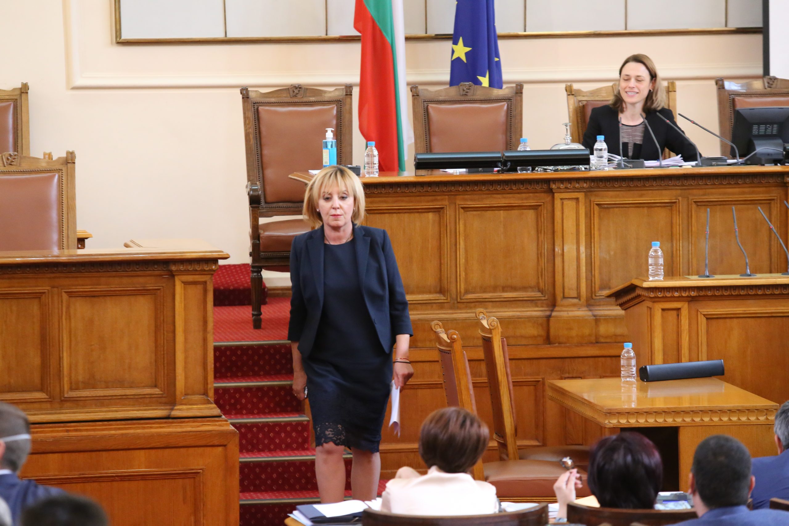 Парламент Мая Манолова