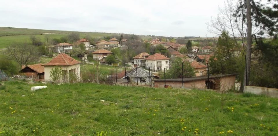 с. Върбешница