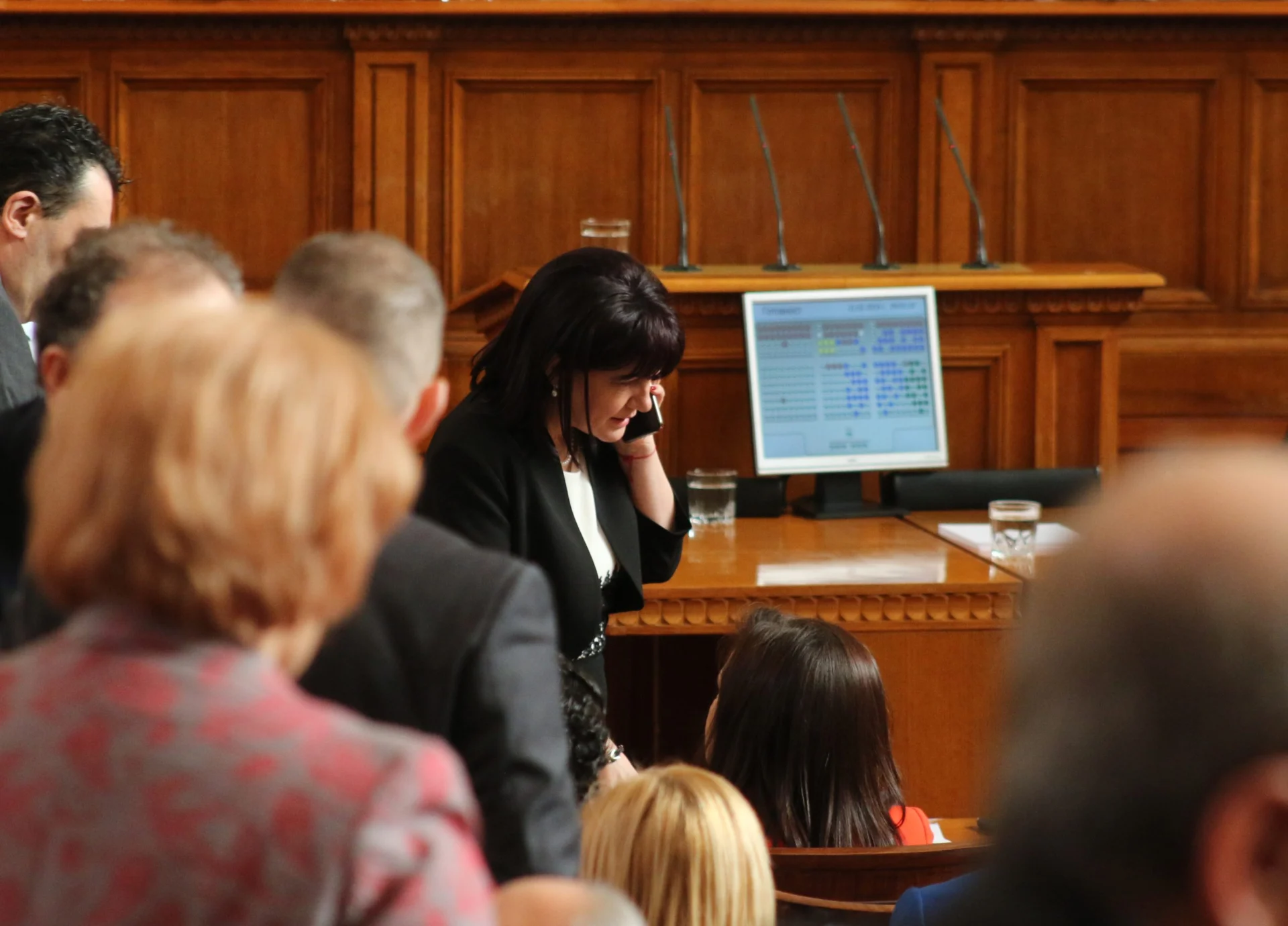 Парламент Цвета Караянчева