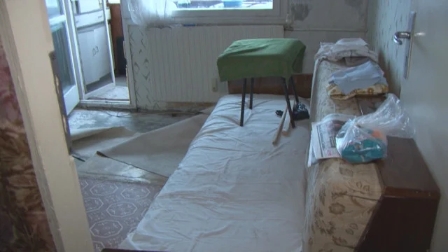 саниране