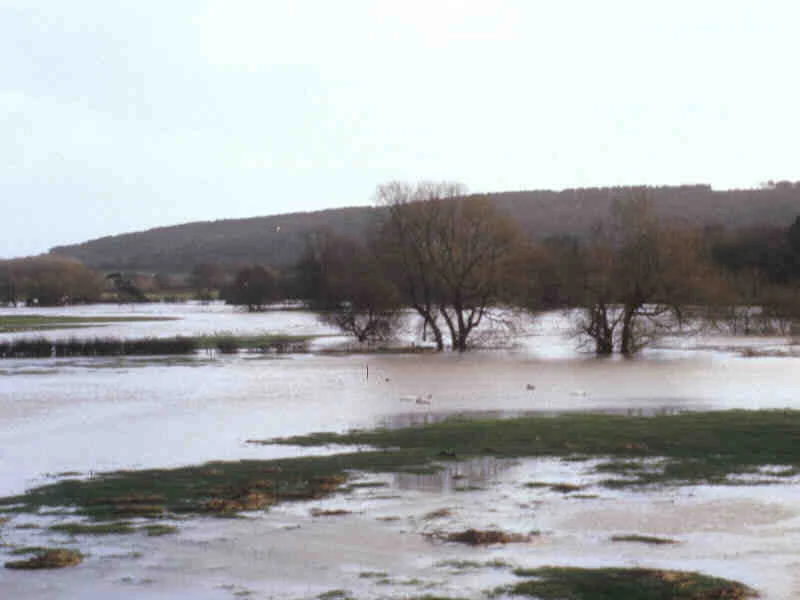 Migration Image