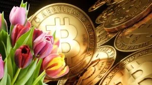currency