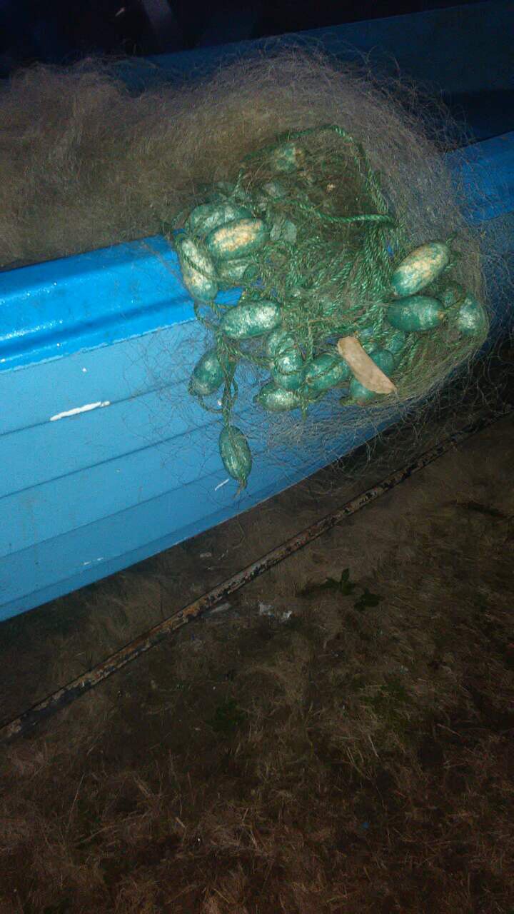хрилни мрежи