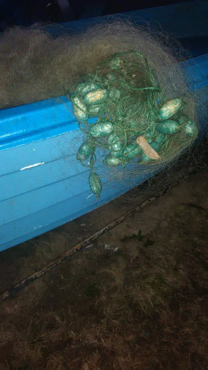 хрилни мрежи