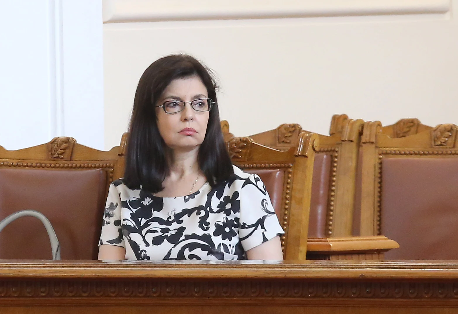 Парламент Меглена Кунева