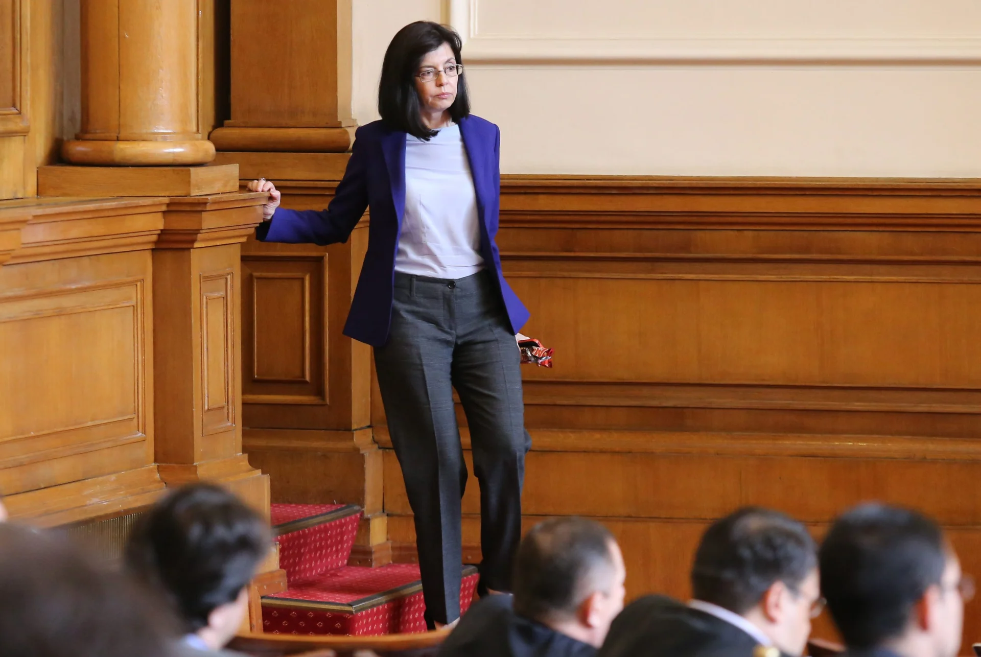 Парламент Меглена Кунева вицепремиер