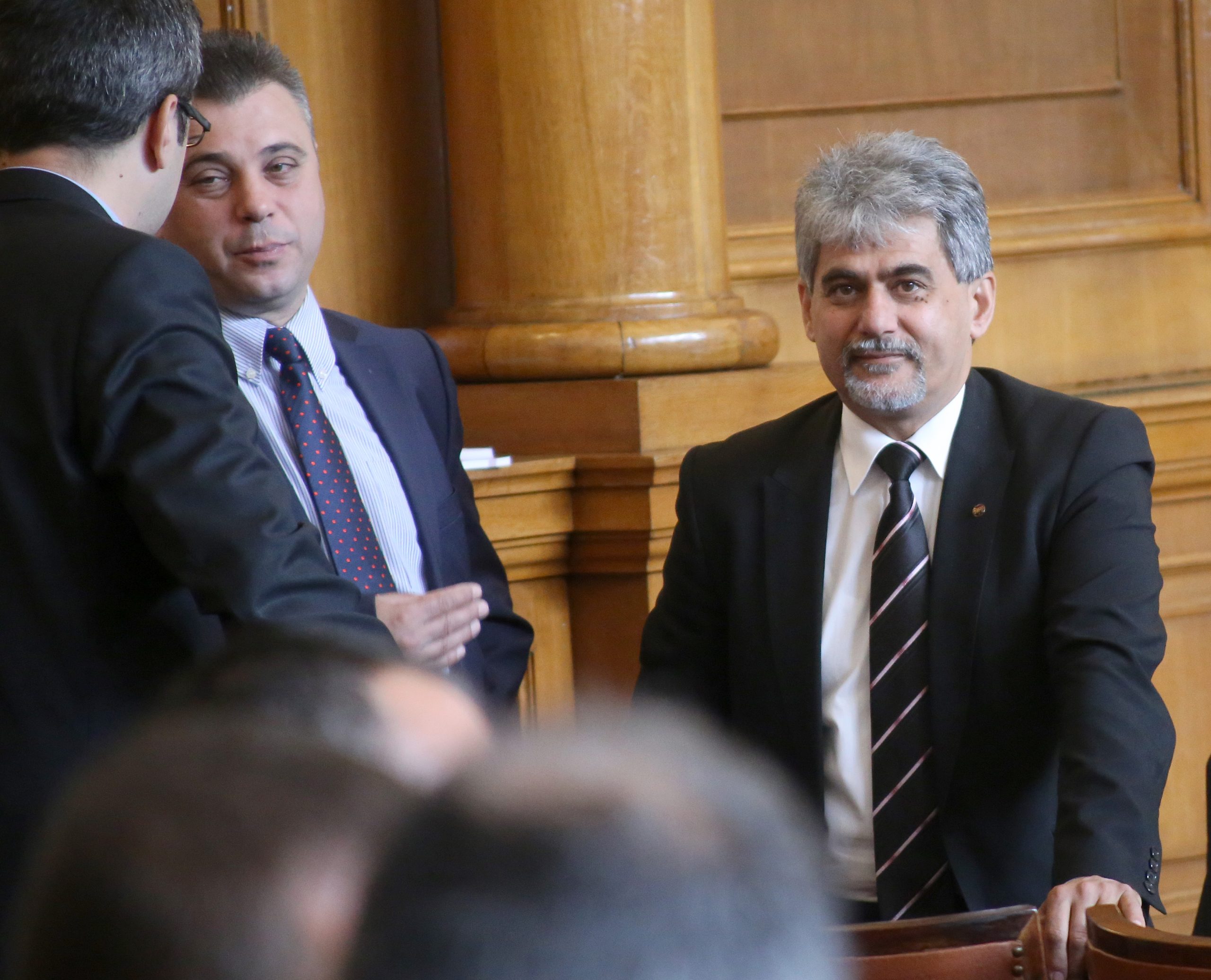 Парламент Милен Михов